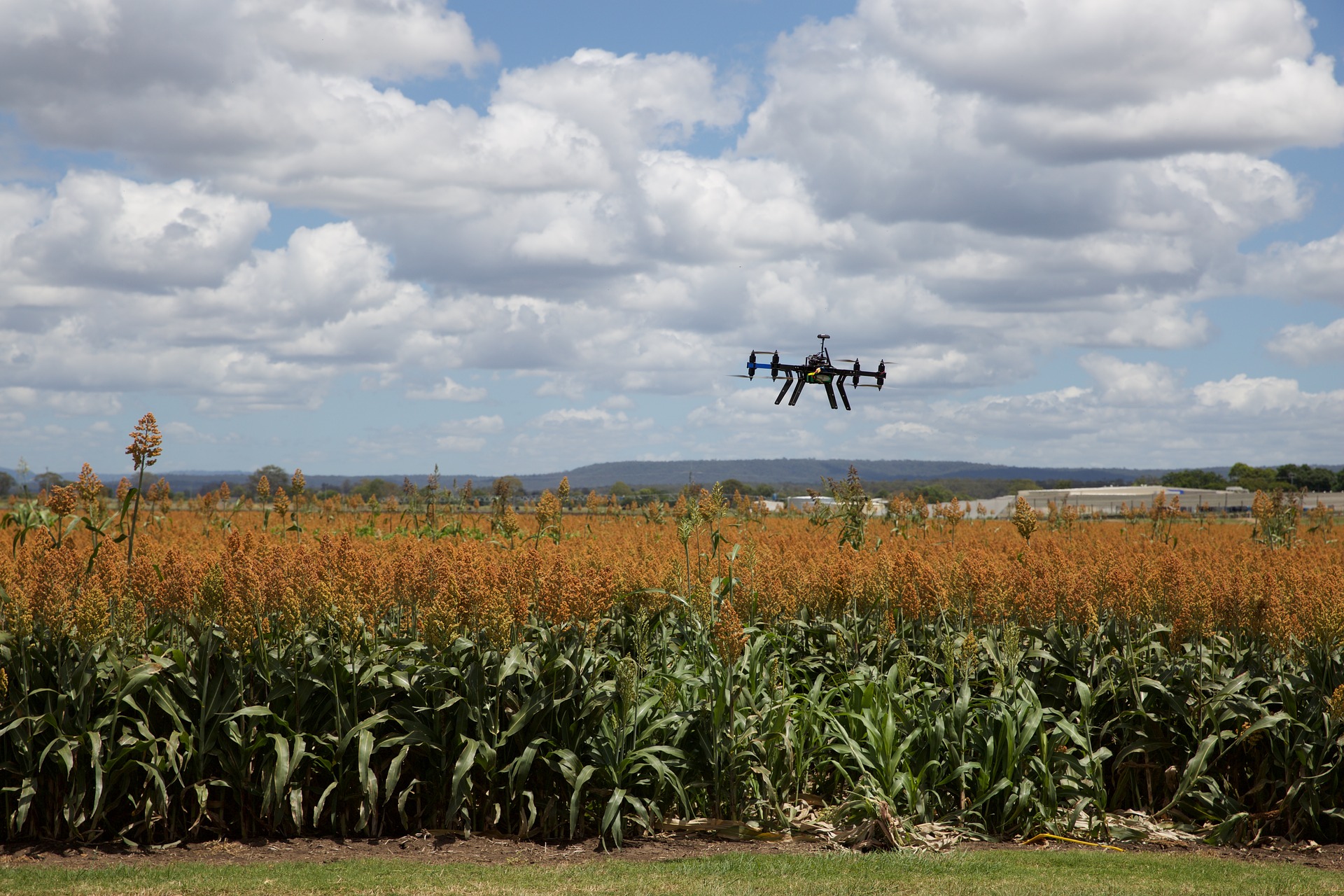 https://mail10.horasis.org/wp-content/uploads/2021/05/agriculture-3182252_1920.jpg